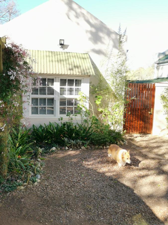 30 Oak Street Otel Greyton Dış mekan fotoğraf