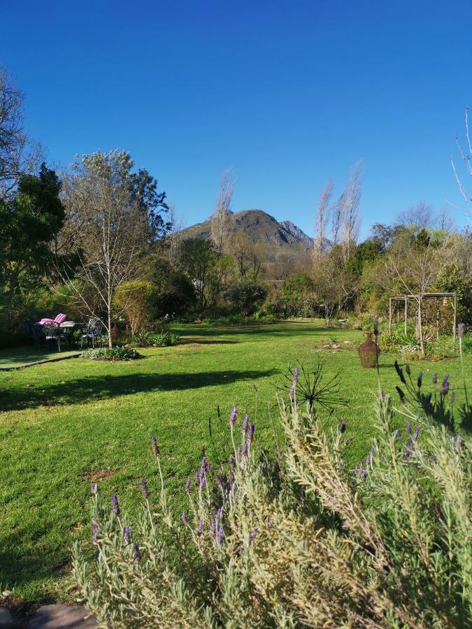 30 Oak Street Otel Greyton Dış mekan fotoğraf